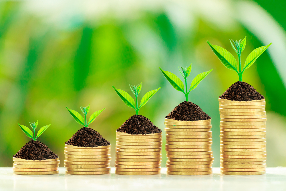 The Best Appreciating Assets to Invest In Brokereviews Stocks